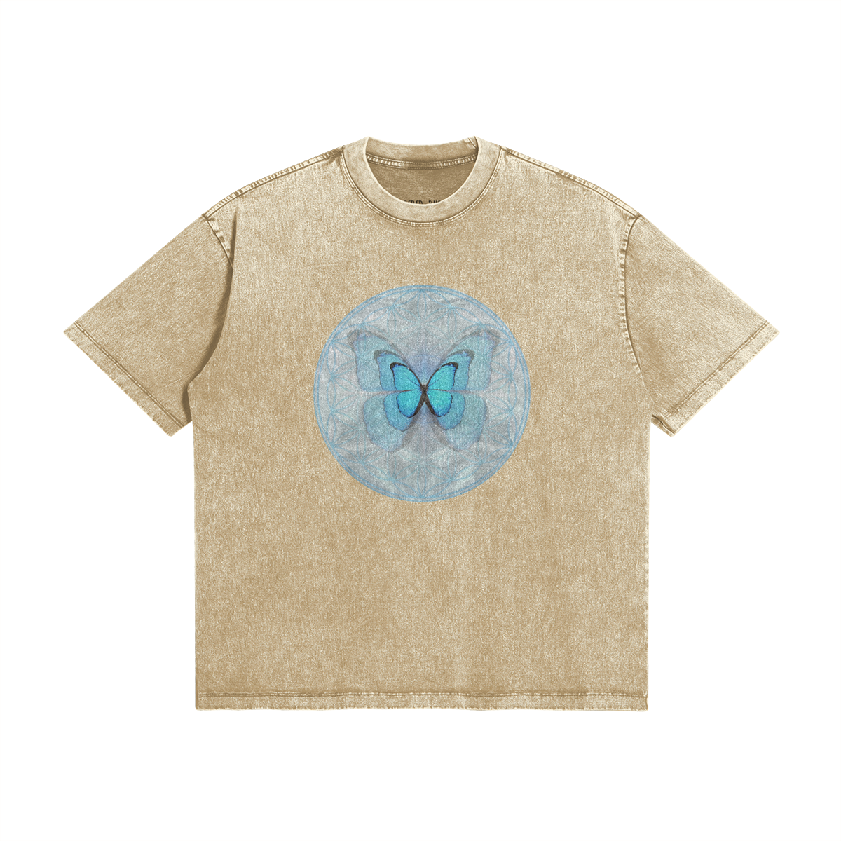 0-YCB-Front Side